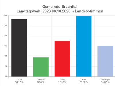 So hat Brachttal gewählt - <i>Foto: Screenshot Votemanager</i>