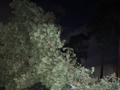 Einsatz in Hanau - <i>Fotos: Feuerwehr Hanau</i>