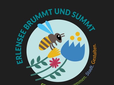 <i>Grafik: Stadt Erlensee</i>
