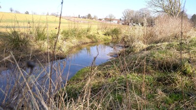 Der Krebsbach in Nidderau