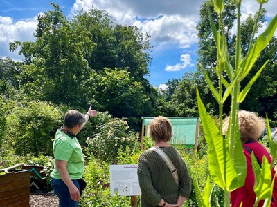 Das Team des Umweltzentrums informiert über Pflanzen, die besonders attraktiv für Schmetterlinge und Wildbienen sind. - <i>© Stadt Hanau / Umweltzentrum</i>